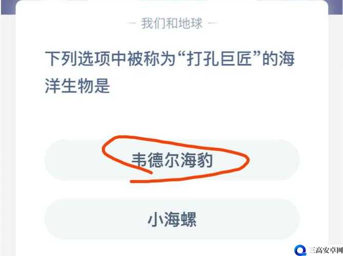 被称打孔巨匠的海洋生物 蚂蚁庄园今日答案